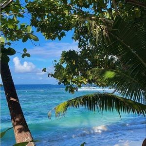 Meet your Posher, Gabriela